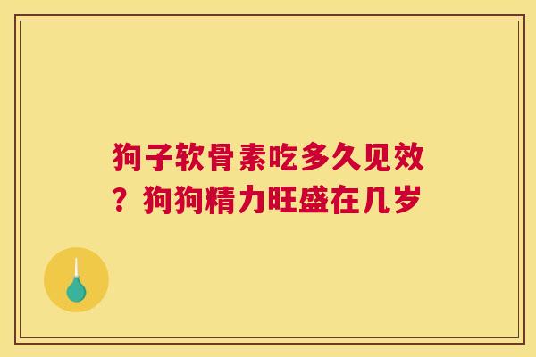 狗子软骨素吃多久见效？狗狗精力旺盛在几岁