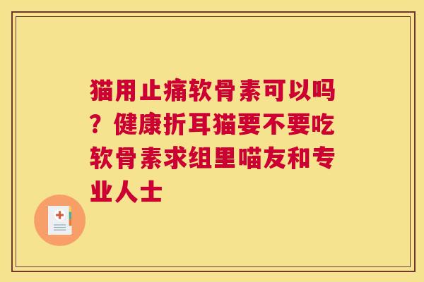 猫用软骨素可以吗？健康折耳猫要不要吃软骨素求组里喵友和专业人士