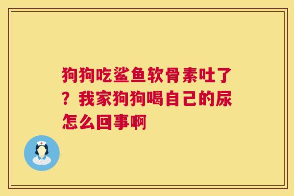 狗狗吃鲨鱼软骨素吐了?我家狗狗喝自己的尿怎么回事啊 狗狗吃鲨鱼软骨素吐了?我家狗狗喝自己的尿怎么回事啊
