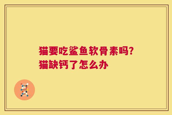 猫要吃鲨鱼软骨素吗？猫缺钙了怎么办