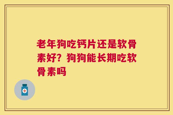 老年狗吃钙片还是软骨素好？狗狗能长期吃软骨素吗