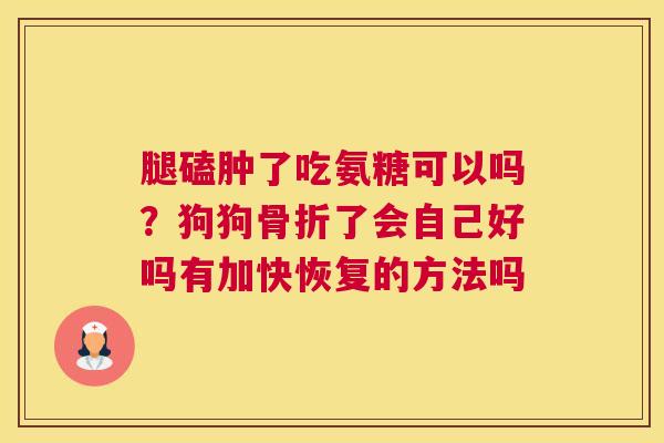 腿磕肿了吃氨糖可以吗？狗狗骨折了会自己好吗有加快恢复的方法吗