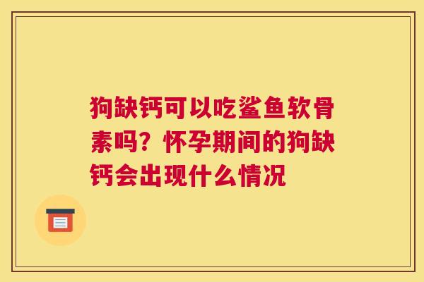 狗缺钙可以吃鲨鱼软骨素吗？怀孕期间的狗缺钙会出现什么情况