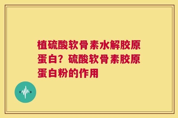 植硫酸软骨素水解胶原蛋白？硫酸软骨素胶原蛋白粉的作用
