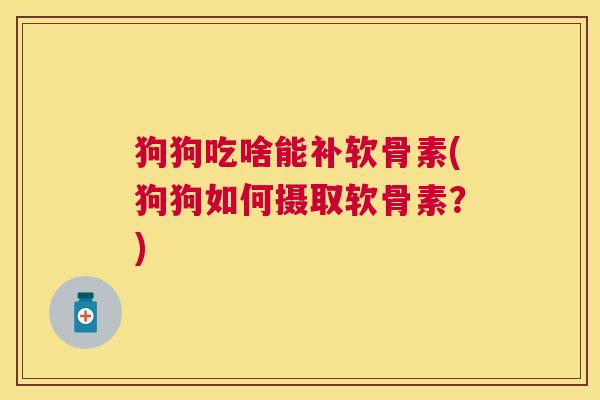 狗狗吃啥能补软骨素(狗狗如何摄取软骨素？)