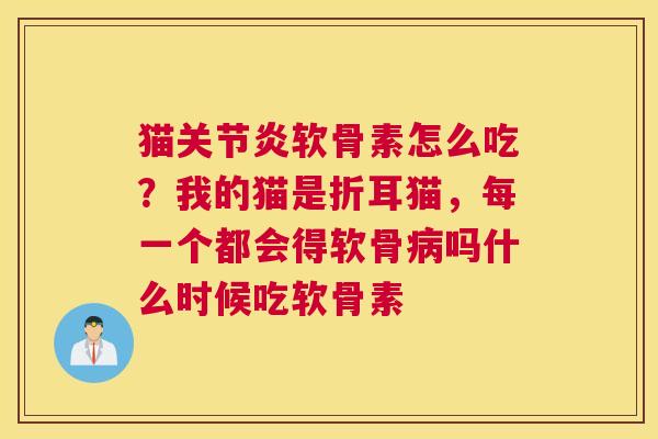 猫关节炎软骨素怎么吃？我的猫是折耳猫，每一个都会得软骨病吗什么时候吃软骨素