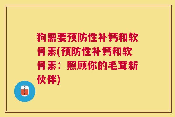 狗需要预防性补钙和软骨素(预防性补钙和软骨素：照顾你的毛茸新伙伴)
