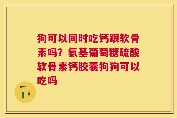 狗可以同时吃钙跟软骨素吗?氨基葡萄糖硫酸软骨素钙胶囊狗狗可以吃吗