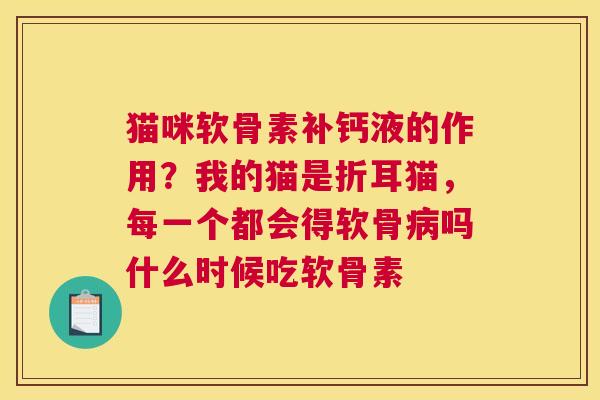 猫咪软骨素补钙液的作用？我的猫是折耳猫，每一个都会得软骨吗什么时候吃软骨素