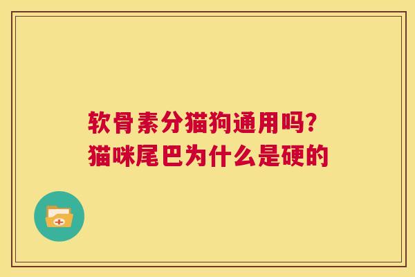 软骨素分猫狗通用吗？猫咪尾巴为什么是硬的