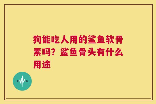 狗能吃人用的鲨鱼软骨素吗？鲨鱼骨头有什么用途