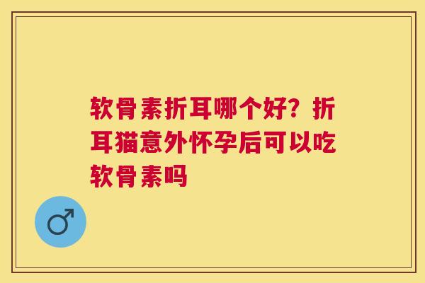 软骨素折耳哪个好？折耳猫意外怀孕后可以吃软骨素吗