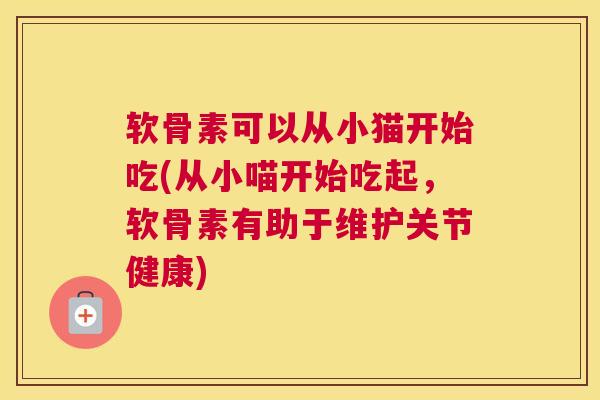 软骨素可以从小猫开始吃(从小喵开始吃起，软骨素有助于维护关节健康)