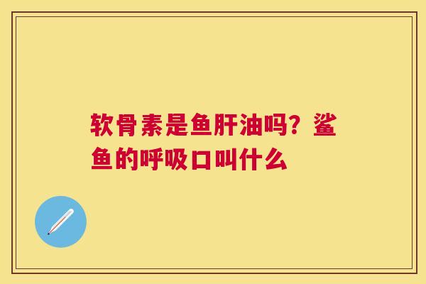 软骨素是鱼肝油吗？鲨鱼的呼吸口叫什么