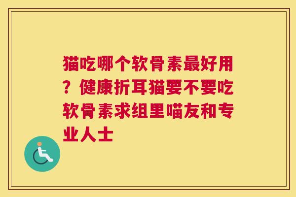 猫吃哪个软骨素最好用？健康折耳猫要不要吃软骨素求组里喵友和专业人士