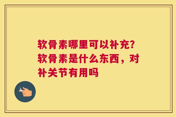 软骨素哪里可以补充？软骨素是什么东西，对补关节有用吗