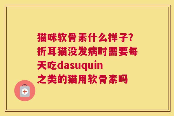 猫咪软骨素什么样子？折耳猫没发时需要每天吃dasuquin之类的猫用软骨素吗