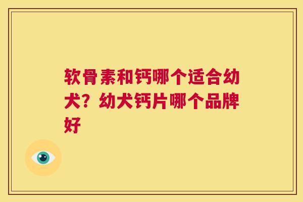 软骨素和钙哪个适合幼犬？幼犬钙片哪个品牌好