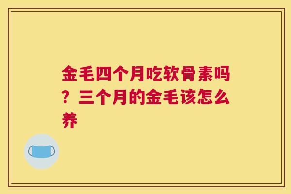 金毛四个月吃软骨素吗？三个月的金毛该怎么养