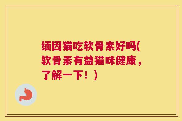 缅因猫吃软骨素好吗(软骨素有益猫咪健康，了解一下！)