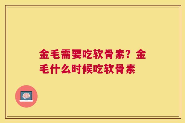 金毛需要吃软骨素？金毛什么时候吃软骨素
