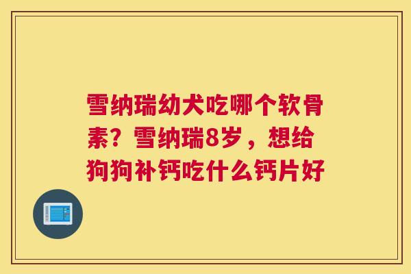雪纳瑞幼犬吃哪个软骨素？雪纳瑞8岁，想给狗狗补钙吃什么钙片好