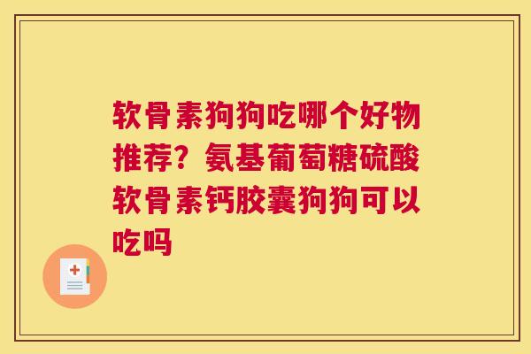 软骨素狗狗吃哪个好物推荐？氨基葡萄糖硫酸软骨素钙胶囊狗狗可以吃吗