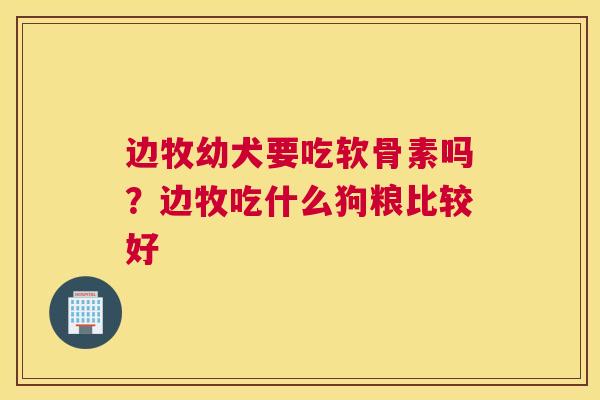 边牧幼犬要吃软骨素吗？边牧吃什么狗粮比较好