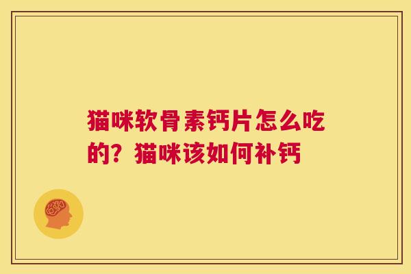猫咪软骨素钙片怎么吃的？猫咪该如何补钙