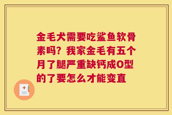 金毛犬需要吃鲨鱼软骨素吗？我家金毛有五个月了腿严重缺钙成O型的了要怎么才能变直