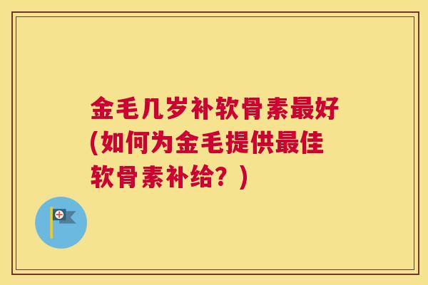 金毛几岁补软骨素最好(如何为金毛提供最佳软骨素补给？)