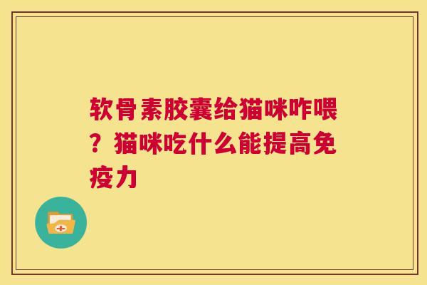 软骨素胶囊给猫咪咋喂？猫咪吃什么能提高免疫力
