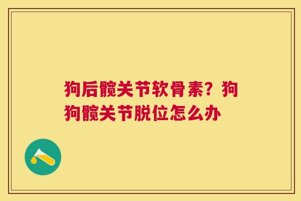 狗后髋关节软骨素？狗狗髋关节脱位怎么办