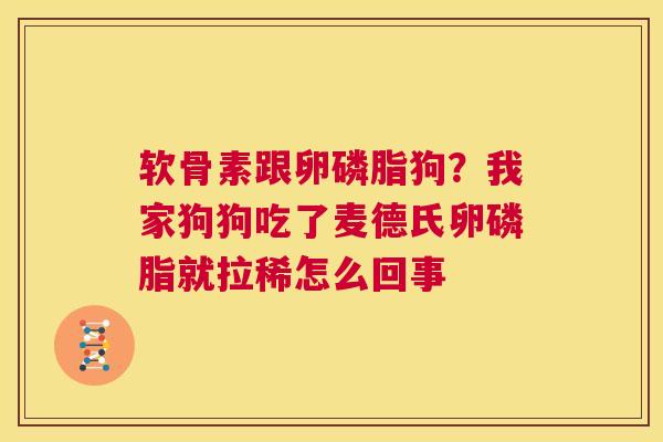 软骨素跟卵磷脂狗？我家狗狗吃了麦德氏卵磷脂就拉稀怎么回事