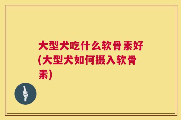 大型犬吃什么软骨素好(大型犬如何摄入软骨素)