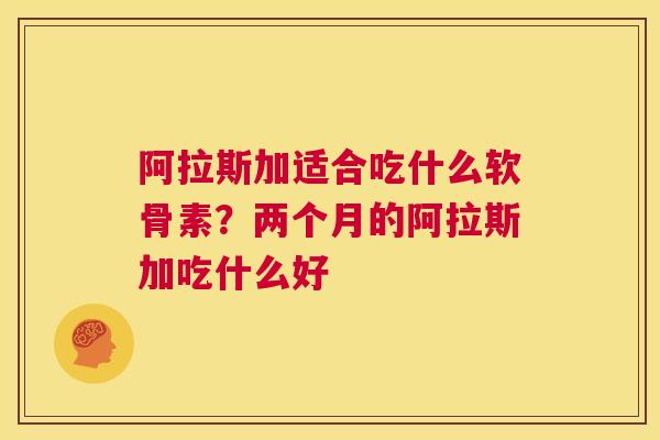 阿拉斯加适合吃什么软骨素？两个月的阿拉斯加吃什么好