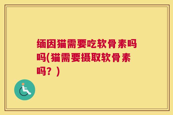 缅因猫需要吃软骨素吗吗(猫需要摄取软骨素吗？)
