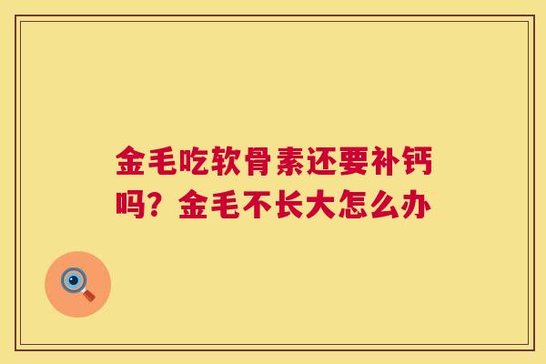 金毛吃软骨素还要补钙吗？金毛不长大怎么办