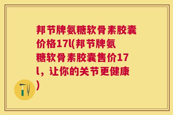 邦节牌氨糖软骨素胶囊价格17l(邦节牌氨糖软骨素胶囊售价17l，让你的关节更健康)