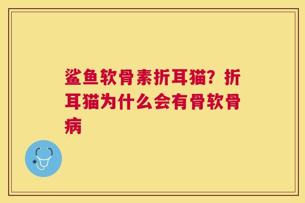 鲨鱼软骨素折耳猫？折耳猫为什么会有骨软骨病