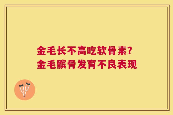 金毛长不高吃软骨素？金毛髌骨发育不良表现