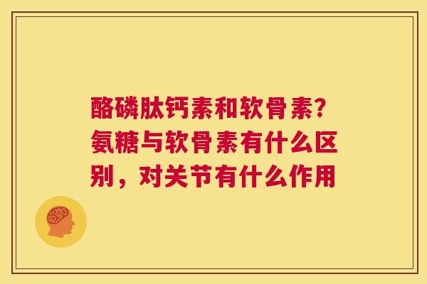 酪磷肽钙素和软骨素？氨糖与软骨素有什么区别，对关节有什么作用