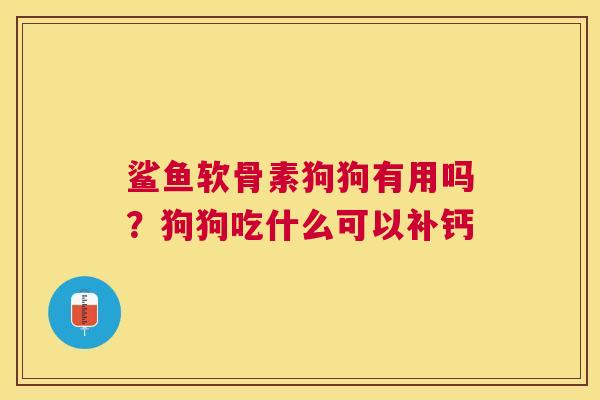 鲨鱼软骨素狗狗有用吗？狗狗吃什么可以补钙