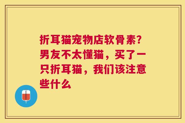 折耳猫宠物店软骨素？男友不太懂猫，买了一只折耳猫，我们该注意些什么