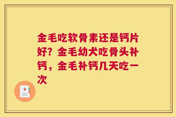 金毛吃软骨素还是钙片好？金毛幼犬吃骨头补钙，金毛补钙几天吃一次