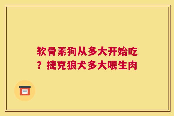 软骨素狗从多大开始吃？捷克狼犬多大喂生肉