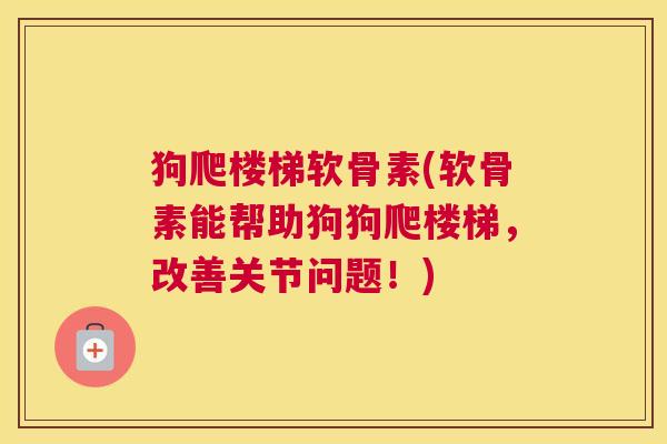 狗爬楼梯软骨素(软骨素能帮助狗狗爬楼梯，改善关节问题！)