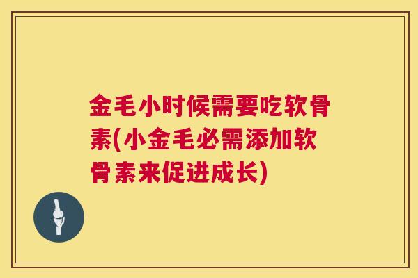 金毛小时候需要吃软骨素(小金毛必需添加软骨素来促进成长)
