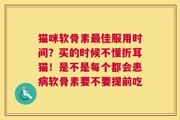 猫咪软骨素最佳服用时间？买的时候不懂折耳猫！是不是每个都会患病软骨素要不要提前吃