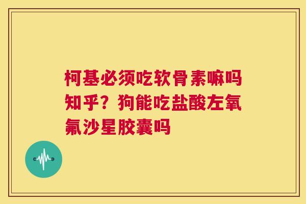 柯基必须吃软骨素嘛吗知乎？狗能吃盐酸左氧氟沙星胶囊吗
